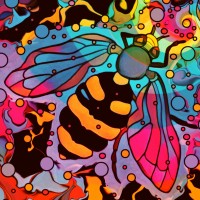 Monad Arts logo - Similar company to Dilip Oak'S Academy