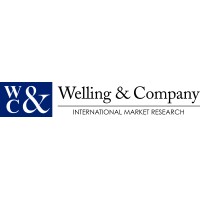 Welling & Company logo - Similar company to Fmg Consulting