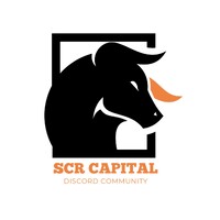 SCR Capital Investments logo - Similar company to Montisera Ltd