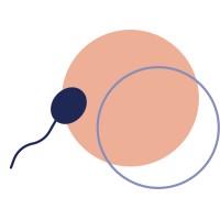 Hope Applications GmbH logo - Similar company to Gethr