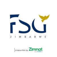FSG Zimbabwe logo - Similar company to E-Zimbabwe
