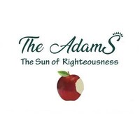 The Adams logo - Similar company to Virtue Space