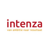 Intenza Consulting Group bv logo - Similar company to Biind