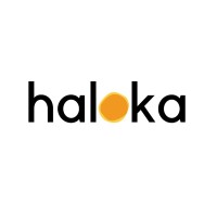 Haloka Group | Brand Consultant & Agency logo - Similar company to Observisual