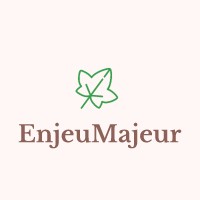 EnjeuMajeur logo - Similar company to Mōōv Consulting