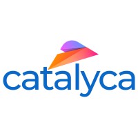 Catalyca logo - Similar company to Verteil Technologies