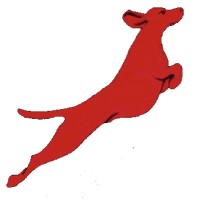 Red Dog Aerial Media, LLC logo - Similar company to Eco Packaging