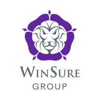 WinSure Group logo - Similar company to Technovera It Solutions
