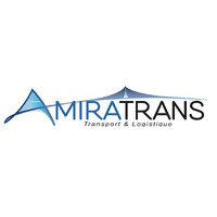 AMIRATRANS & AMIRALOGISTIC logo - Similar company to V1 - Group