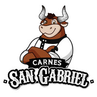 Carnes San Gabriel del Norte S.A logo - Similar company to Corpeco Sa