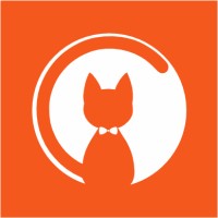 Cat Jump