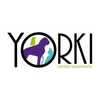 Clinica Veterinaria Yorki logo - Similar company to Integral Clínica Veterinaria Cullera
