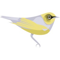 Silvereye logo - Similar company to Goutrends