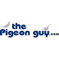 The Pigeon Guy logo - Similar company to You4You