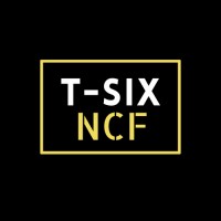T-Six Ventures (Cairo Office) logo - Similar company to Intercap Inc.