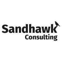 Sandhawk Consulting logo - Similar company to Actus Software