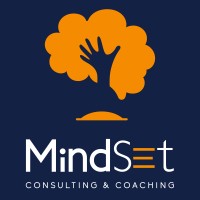 Mindset Consulting logo - Similar company to Directfab Agro