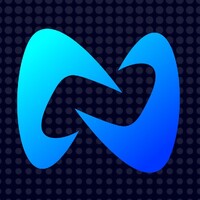 Ninzure logo - Similar company to Softbox Studios