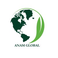 Anam Global logo - Similar company to Itm Studio, Inc.