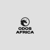 Odos logo - Similar company to Cacesmit Consultancy