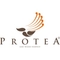 Protea France