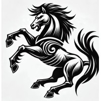 Bucefalo360 logo - Similar company to Inel