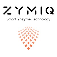 ZymIQ Technology logo - Similar company to Comjoy Consulting