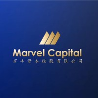 Marvel Capital Holdings Limited logo - Similar company to Marvel Capital Solutions