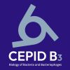 CEPID B3 logo - Similar company to Cepid Cancerthera