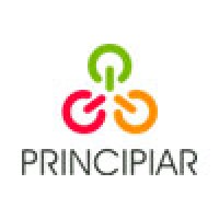 Principiar logo - Similar company to Salles Profissional