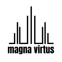 Magna Virtus logo - Similar company to Alere