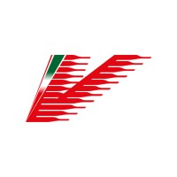 Vignali Logistic Service Provider logo - Similar company to Cobra Logistic Srl