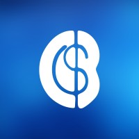 Business Computer Services logo - Similar company to The Pangolins