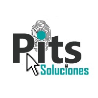 Pits Solutions S.A. de C.V. logo - Similar company to Pits Data Recovery