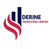 DERINE MARKETING LTD logo - Similar company to King David Masterclasses