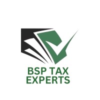 BSP TAX EXPERTS : Accounting & Auditing logo - Similar company to Doorpe