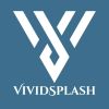 VividSplash logo - Similar company to Open Cloud Consultancy
