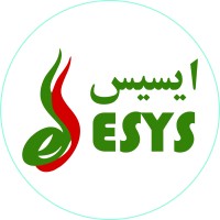 esys.ir logo - Similar company to Karapcb