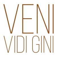Veni Vidi Gini logo - Similar company to Corvus Group