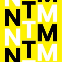 Next Thing Marketing logo - Similar company to Brancy