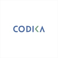CODIKA logo - Similar company to Codika Web