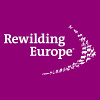 Rewilding Europe logo - Similar company to Rewilding Britain