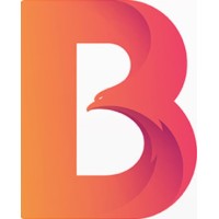 Bonchoice.nl logo - Similar company to Affordable Dyson