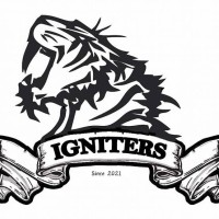 IGNITERS logo - Similar company to Appexpert