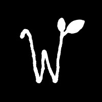 Wildflower Interactive logo - Similar company to Techtoy Studio