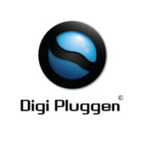 Digi Pluggen logo - Similar company to Playara