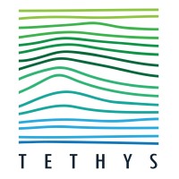 Tethys Srl logo - Similar company to Celsius Energy