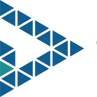 Solavid logo - Similar company to Cedato