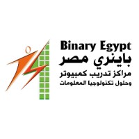 Binary Egypt logo - Similar company to Ipa (Institute Of Professional Accountants)