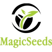 MagicSeeds logo - Similar company to Team Pulp Factory